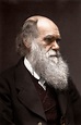 See a colorized photo of Charles Darwin, circa 1874 - HistoryColored