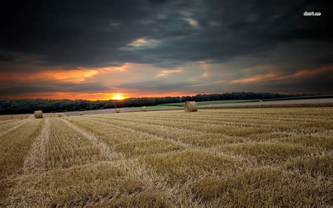 46 Hay Bale Wallpaper