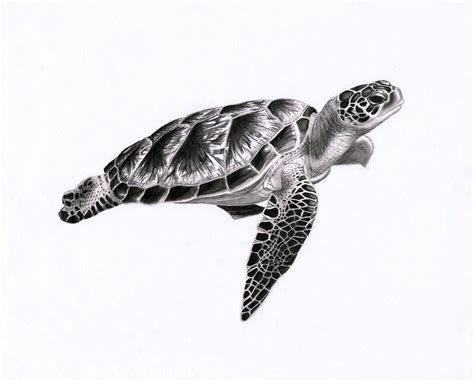 Sea Turtle 1 By Punkymeadows Sea Turtle Tattoo Turtle Tattoo Turtle