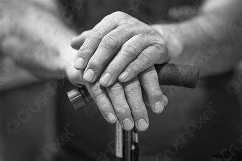 Hand Of A Old Man Holding A Cane Stock Photo 3206319 Crushpixel