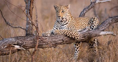 9 Days Nature Tour Itinerary For Tanzania Spot The Big Five And Other