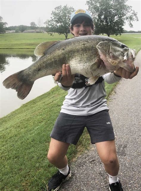 Enormous Largemouth Bass A Dream Catch For 13 Year Old