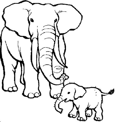 Realistic Elephant Coloring Pages At Getdrawings Free Download