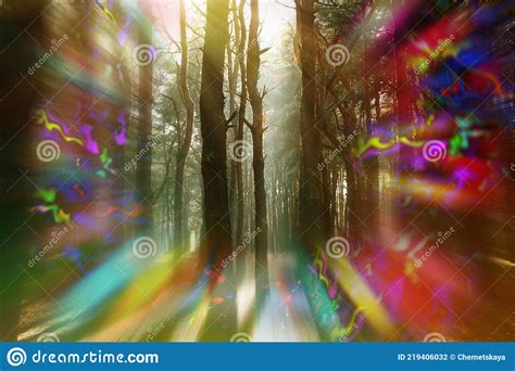 View Of Forest And Flashing Lights Effect Migraine Aura Symptom Of
