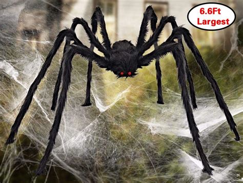 Giant Scary Spiders ~ Wolf Spider