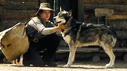 Foto zum Film Wolfsblut - Bild 17 auf 20 - FILMSTARTS.de