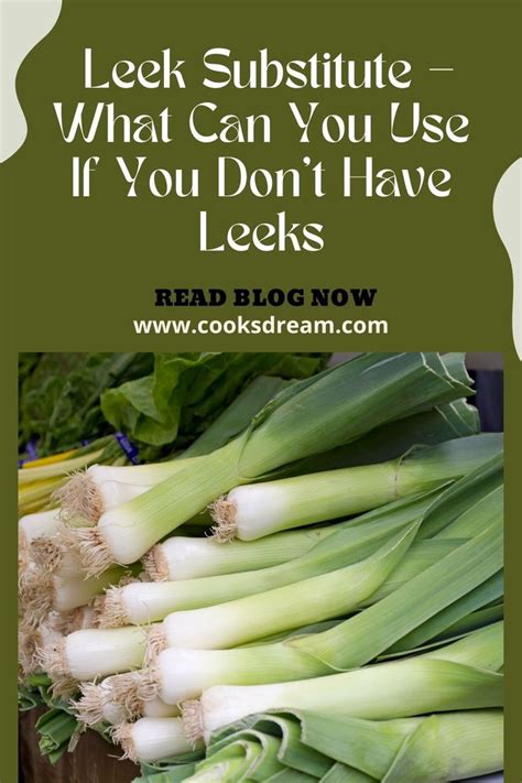 Leek Substitute What Can You Use If You Dont Have Leeks Cooks