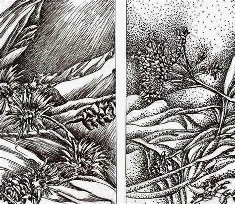 Textural Techniques In Pen And Ink Dr Mary Mcnaughton And Drawing