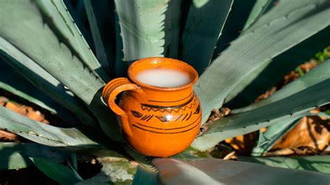 PULQUE: LA BEBIDA ANCESTRAL Y SU HUELLA EN LA ACTUALIDAD