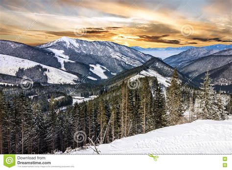 Winter Mountain Forest Snow Sunset Landscape Stock Image