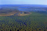 The Vasyugan swamp is the largest swamp in the world, which is located ...