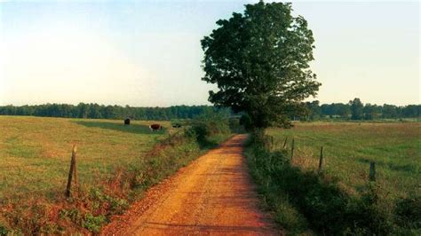 An Adventure In Rural Georgia Life At Nyu Law