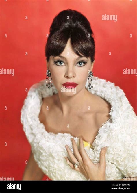 Leslie Caron French American Film Actress About 1965 Stock Photo Alamy