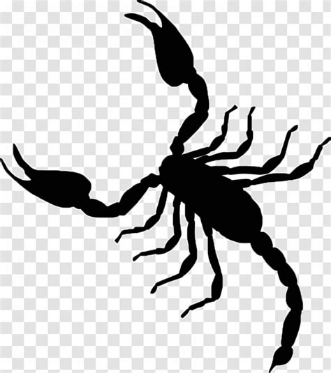 Scorpion Vector Graphics Clip Art Illustration Image Black And White