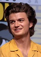 Joe Keery - Celebrity biography, zodiac sign and famous quotes
