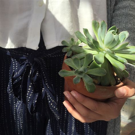 sofibat instagram sofibatt snapchat sasofiab plant aesthetic plants are friends