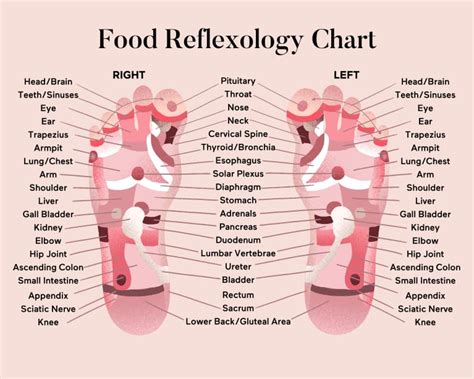 Is Foot Reflexology Coming To An Nicu Near You All Things Neonatal