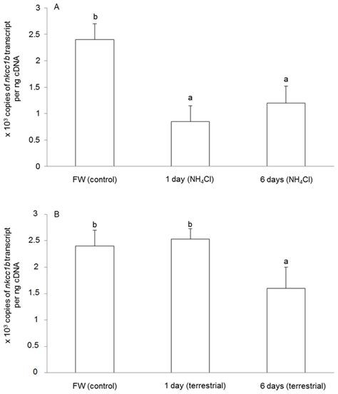 Effects Of Ammonia Exposure Or Terrestrial Exposure On Na K