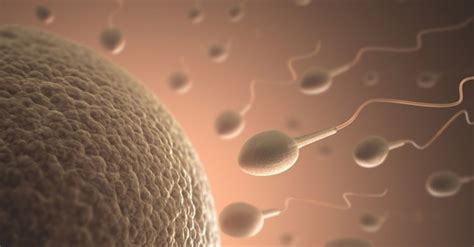 9 ways to make your sperm stronger faster and more fertile
