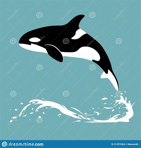 Orca In Water Killer Whale Jumps Out Of The Water Stock Vector