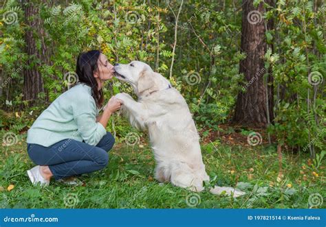 Girl Pleasing A Golden Retriever Dog In The Park Man`s Best Friend