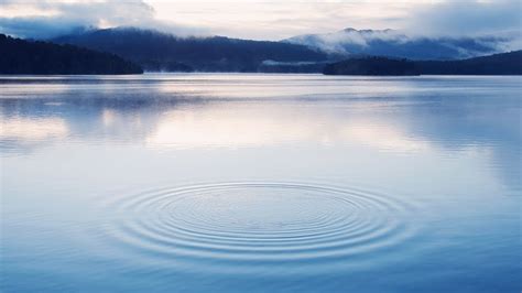 According to the mof's economic report 2018/19, titled fiscal outlook 2019 report released today, the private sector expenditure is expected to remain as the key driver of malaysia's economic growth, cushioning the effects of lower public sector spending in 2018 and 2019. Nordea Economic Outlook Webinar 02 2018 (English) - YouTube