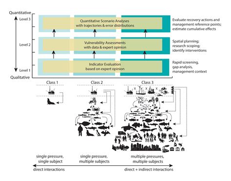 ecological risk assessment