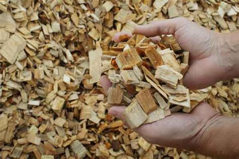 Wood Pulp For Paper How To Manufacture Wood Pulp Cnbm Paper Pulper