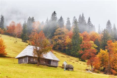 Colorful Autumn Landscape In The Mountain Village Foggy Morning Stock