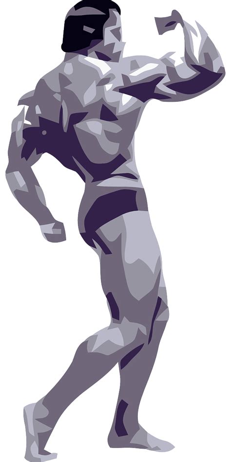 Bodybuilding Posing Strength Free Vector Graphic On Pixabay