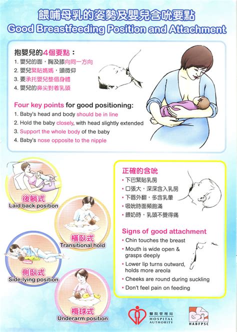Positioning The Key To Successful Breastfeeding Chart
