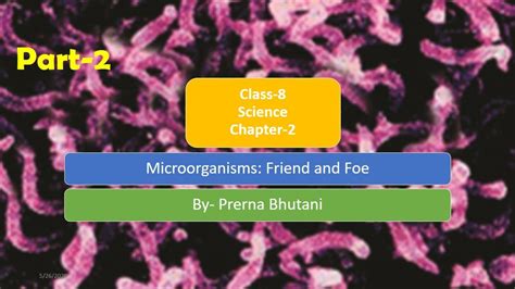 Microorganisms Friend And Foe Class 8 Science Part 2 Youtube
