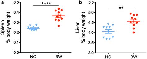 weight of spleen a and liver b for each group n 10 data are download scientific