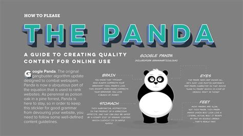 How To Please The Panda Flow Chart Infographic Wpromote
