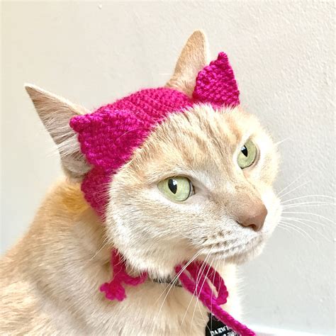 Pink Feminist Pussy Hat Cat Costume Hand Knit Cat Hat