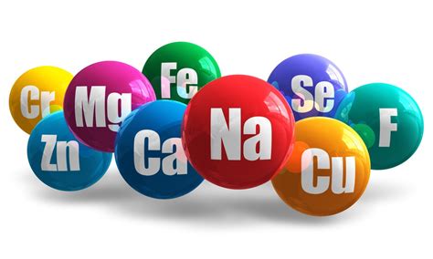 Tipos De Bioelementos Según Su Proporción Y Función Biológica