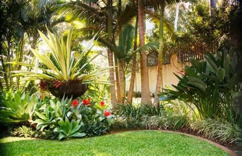 Outdoor Landscaping With Tropical Plants And Edging Small Garden