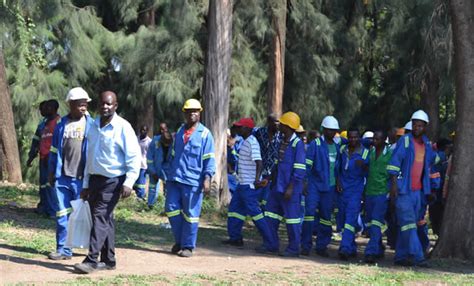 bitter deal for sugar workers… as tongaat hulett fires 4 300 employees nehanda radio