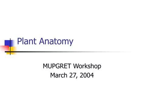 Ppt Plant Anatomy Powerpoint Presentation Free Download Id226310