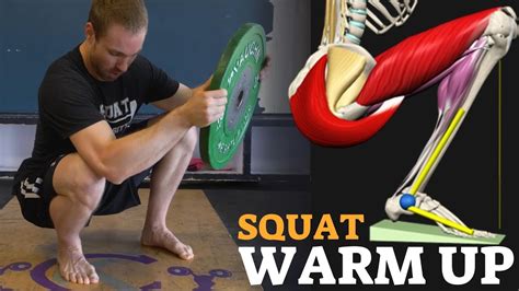 Squat Warm Up Routine Anatomy View Youtube