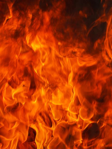 Free Images Fire Flame Heat Burn Hot Bonfire Warm Fiery