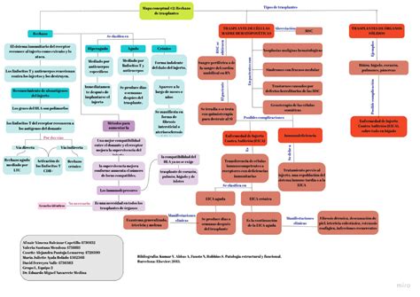 Mapa Conceptual 2 Patología General Y Sistémica Studocu