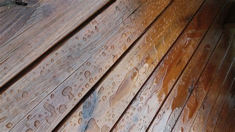 Sherwin williams superdeck for coloring your deck. Sherwin Williams Super Deck Stain Review 2020 Best | Staining deck, Sherwin williams stain ...