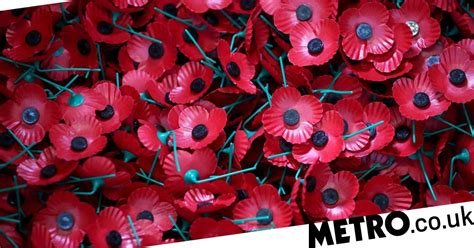 When Should You Stop Wearing A Poppy Metro News