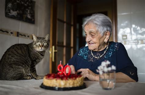 how-old-is-my-cat-in-human-years