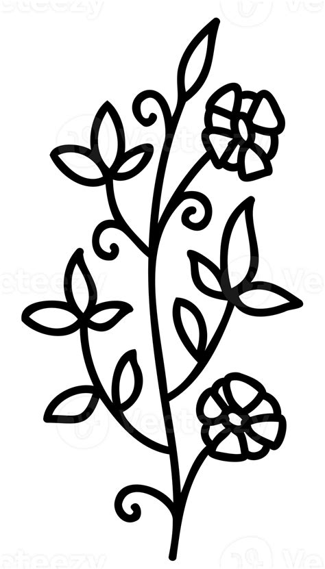 Line Art Flowers Set Collection Of Black And White Thin Linear Flowers