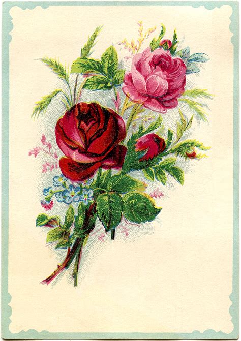 Via biodiversity heritage library (i, ii, iii) 6. Free Stock Image - Roses - The Graphics Fairy