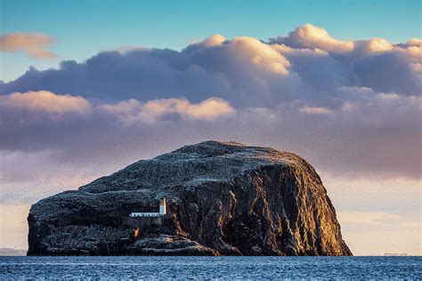 Bass Rock Photograph By Jim Monk Pixels