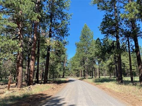 Hike To Kendrick Peak Lookout In Flagstaff Az Karabou