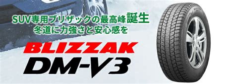 新品 Blizzak Dm V3 25545r20 101q ブリヂストン ブリザック Suv用 冬タイヤ スタッドレスタイヤ